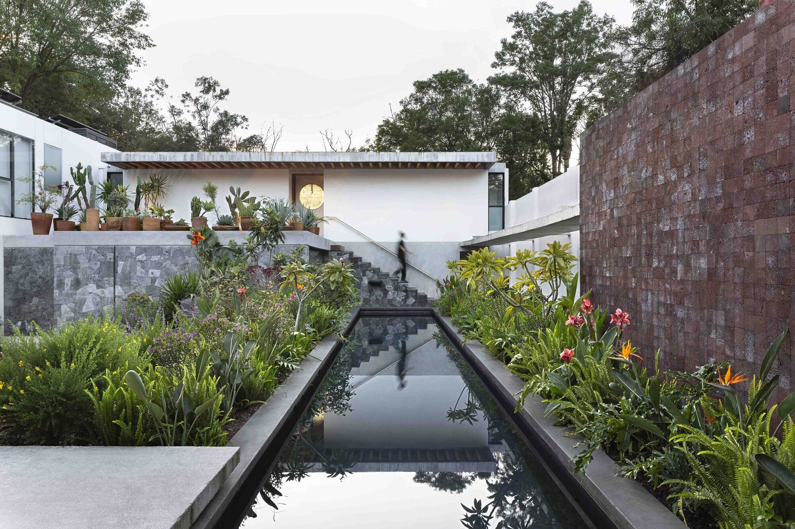 O Refúgio do Beija-flor: Harmonia e Encontro