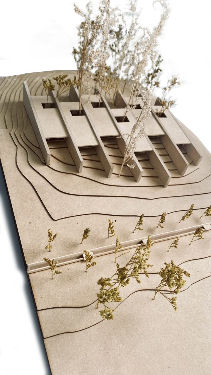 Between Stone Walls Suites